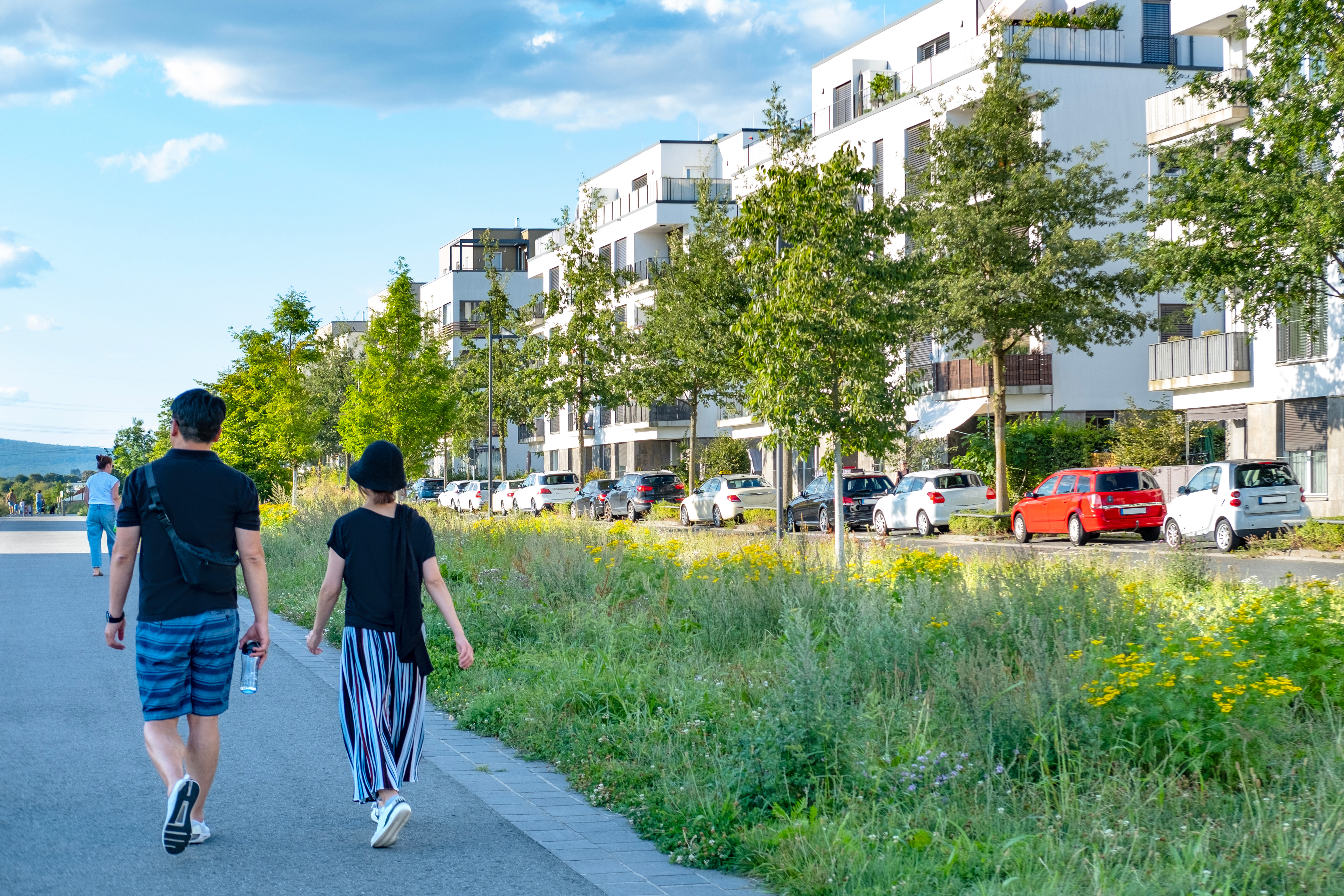 Jahresthema 2025: Stadtnatur – ein Ökosystem mit Zukunftspotential
