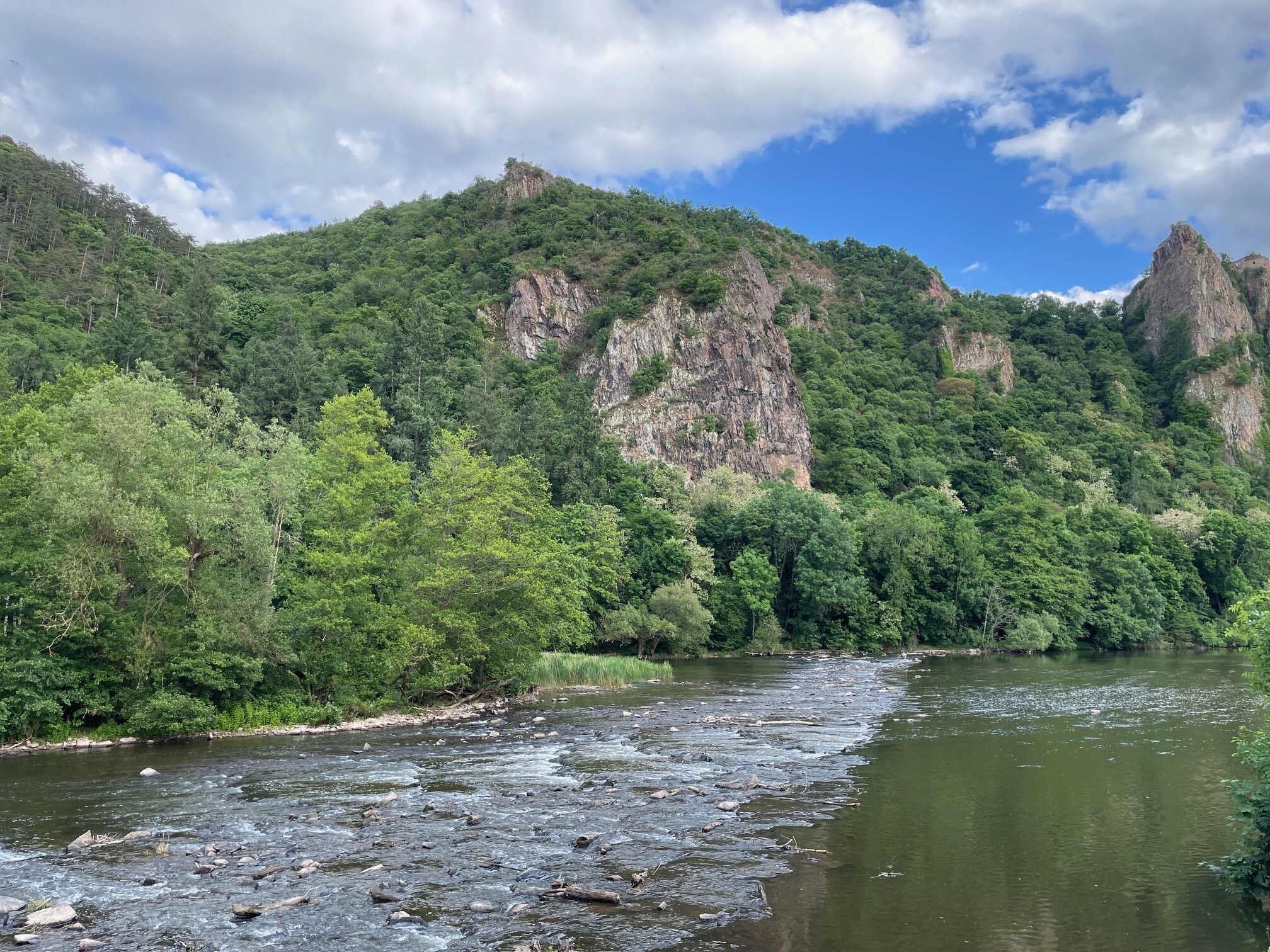 Warum müssen wir Ökosysteme wieder herstellen – und wie funktioniert das? Ein Überblick